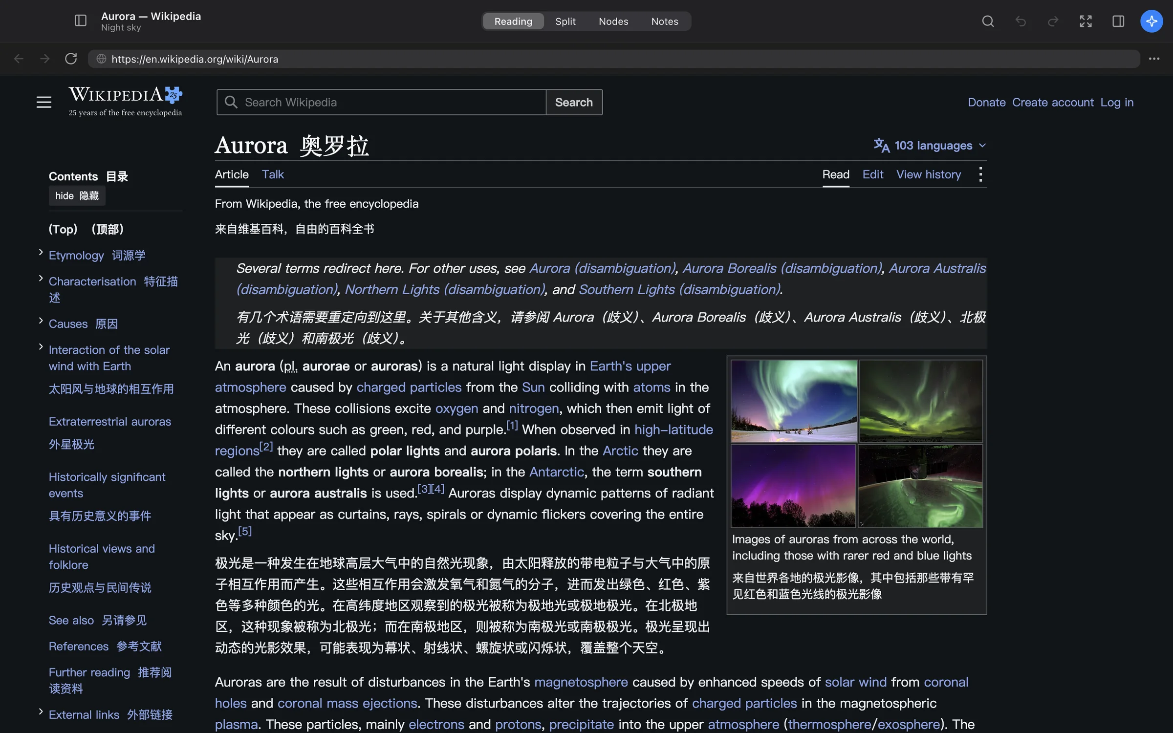 The built-in browser showing the Wikipedia article on Markov chains with bilingual paragraphs